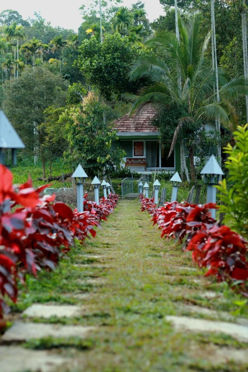Ayurnest Pool Resort Wayanad Batheri Exterior foto